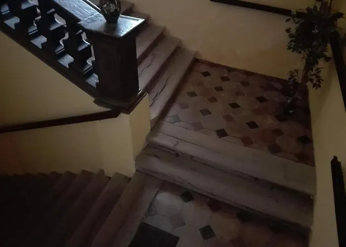 Magdalena Daire Eğri